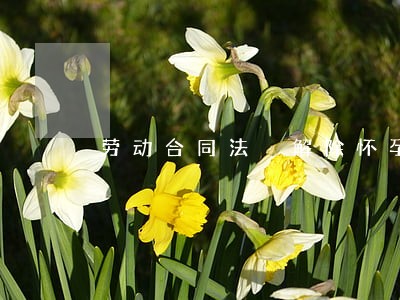 劳动合同法 解除怀孕 劳动合同法 解除怀孕